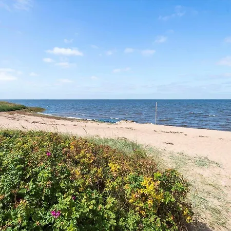 Holiday home C11655-hemmet-fasanvaenget-2 *