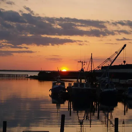 Holiday home C11655-hemmet-fasanvaenget-2