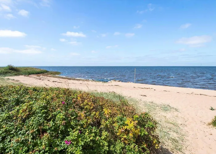 Holiday home C11655-hemmet-fasanvaenget-2 *